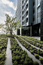 泰国IDEO Samyan-Rama4 住宅公寓景观 / TROP:Terrains+Open Space – mooool木藕设计网