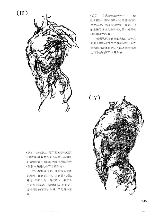 伯里曼人体结构349图落花同梦收集花瓣插画漫画158