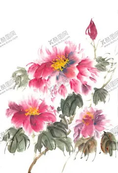 牡丹国画 【酷图网】牡丹插画,手绘牡丹,手绘牡丹插画,牡丹国画,牡丹花国画,水彩牡丹花,水墨牡丹,卡通牡丹,牡丹线稿,矢量牡丹,矢量牡丹插画,手绘矢量牡丹,牡丹简笔画,牡丹素材,牡丹元素,牡丹背景,粉色花卉,手绘花卉,水彩花卉,原创手绘,写意牡丹,国色天香,富贵呈祥,手绘,牡丹,牡丹花
