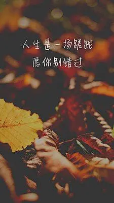 黄色枯叶手机壁纸