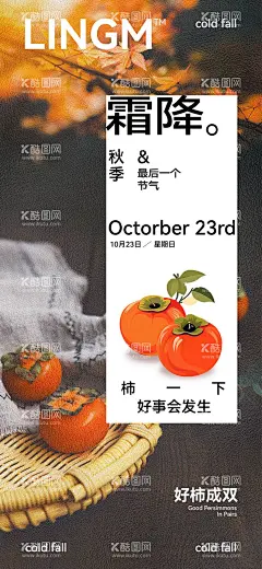 24节气霜降海报    - 源文件下载【酷图网】海报,二十四节气,霜降,柿子,插画,秋天,插画,