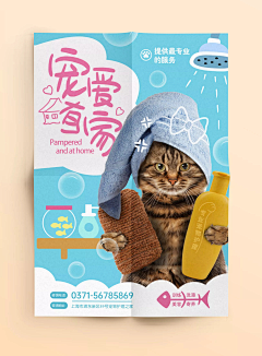 积极少年采集到宠物