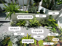 weunya采集到植物