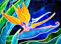 bird_of_paradise_by_paintmyworldrainbow-d6fk4cw