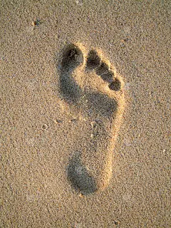 在沙滩上的足迹