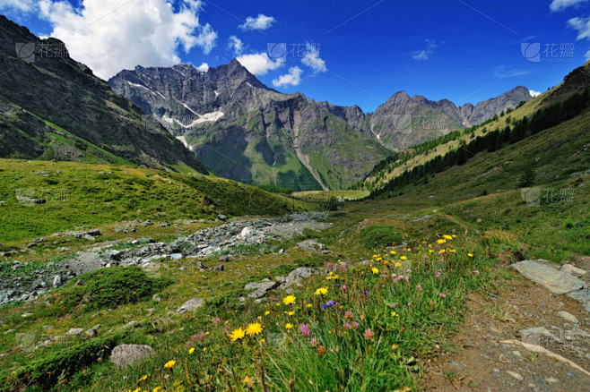 高寒草甸 Valle daosta 山