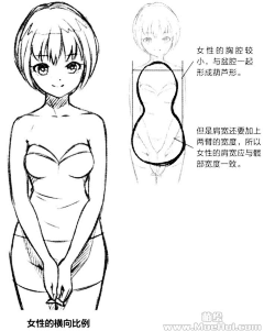 小红帽发福了采集到人体结构