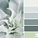 201704_13_SucculentTones_Julia
