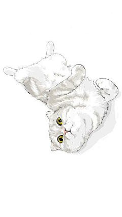 8DgjJELe采集到猫咪