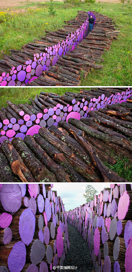 紫 树 ——