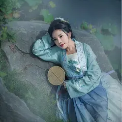 传菩提雪统汉服女大袖衫女古装齐胸对襟齐腰襦裙锦鲤裙清新淡雅-淘宝网