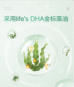 潘多拉菠萝仔采集到植萃