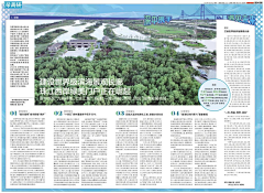 雅_琪采集到电子报刊