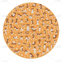 狗,瑜伽,注视镜头,幽默,可爱的,运动,姿态优美,动物,锻炼,吸气