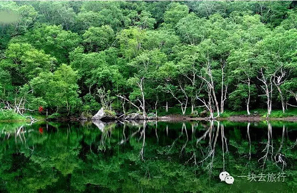 夏天的长白山气温始终恒定在22℃左右，有...