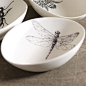 Dragonfly Bowl