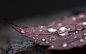 water droplets - Wallpaper2560