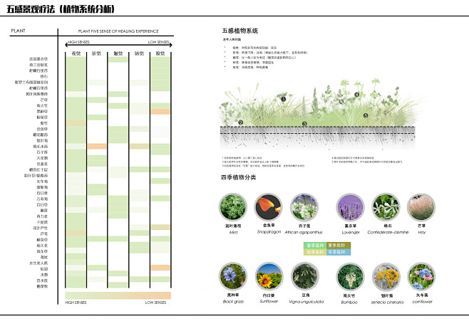 植物分析-花瓣网