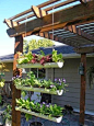 Ideas for small gardens - Balconies38