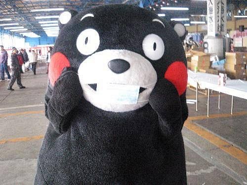 #熊本熊# #kumamon#