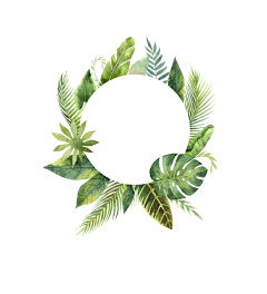 _sijia_采集到植物剪影