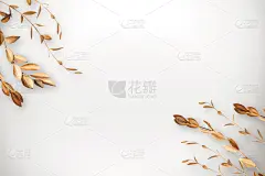 黄金,叶子,复叶,贺卡,周年纪念卡,彩色背景,情人节卡,棕榈叶,背景,生日卡