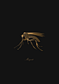 Line Art - insect : a group of full insect bodies drawn using line art by blend tool