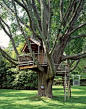 10 Tree Houses You Can Only Dream Of | Shelterness