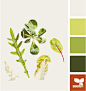 leafy color