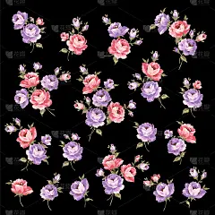 美丽的玫瑰插画素材收集，