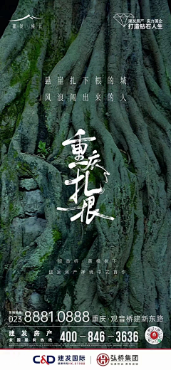 蜡笔小J采集到海报-生态湖景