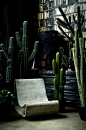 Bring the outdoors in. Cactus collection by <a href="http://abigailahern.com" rel="nofollow" target="_blank">abigailahern.com</a>.