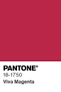 Pantone Color of the Year Chip