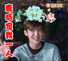 问我爱鹿晗有多深，表情包代表我的心。芦苇专用，需者自取。PS: 不要怪我，你哥自己丢掉的偶像包袱，我只是帮他踹的更远点