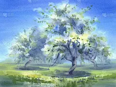开花阳光花园在春天的水彩背景