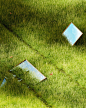 Photo by Luan Rossi on February 02, 2023. May be an image of mirror and grass.