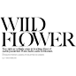 Wild Flower WE ARE SO DROEE