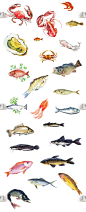 复古手绘水彩海鲜鱼类图案美食餐饮品牌菜单设计png免抠图素材包
