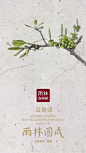 雨林古茶坊的照片 - 微相册