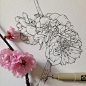 Noel Badges Pugh 带来的线描作品。