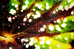 抽象棕绿色构图-题词、文本、句子、