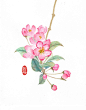 海棠花1（卷骨头临摹水彩）<br/>临摹一个大神的，第一次画海棠花，发现我不能临摹……