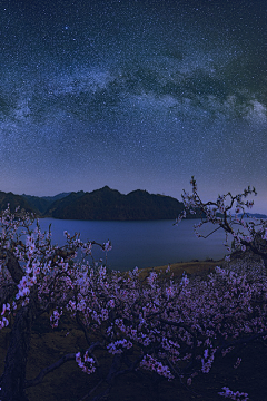 ling幂采集到星空