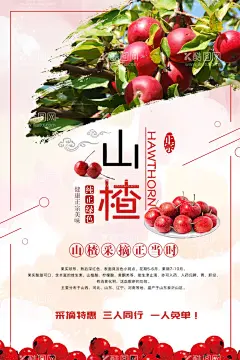山楂  - 源文件下载【酷图网】山楂,山楂海报,山楂片,山楂标签,山楂包装,山楂水果,山楂树,山楂果,山楂饼,山楂干,山楂店,山楂图片,山楂叶,山楂卷,山楂酱,山楂小吃,糖炒山楂,山楂批发,山楂干果,干果,坚果,新鲜山楂,糖葫芦,决明子,中药,山里果,酸枣,红枣,