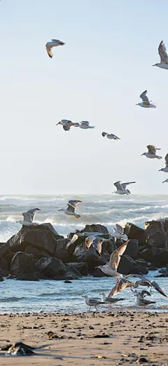 风景壁纸 - 小红书
