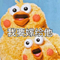 日本鹦鹉兄弟Docomo表情包