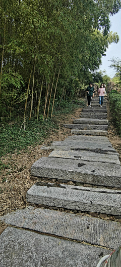 00oollLL~采集到古道，山路