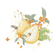 桂花雪梨小场景插画｜治愈系插画 - 小红书