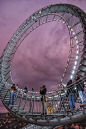 Photograph Tiger and Turtle by Michael A on 500px