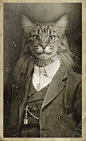 Mr Charlie Brownbutton. Anthropomorphism. Cat in suit, vintage photograph.: 